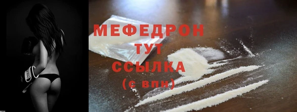 шишки Гусиноозёрск