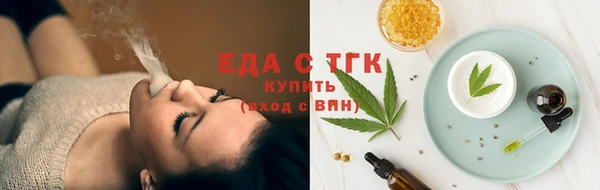 шишки Гусиноозёрск