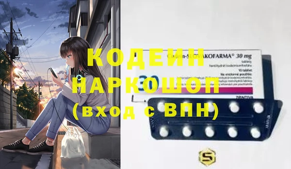 хмурый Нея