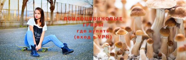 меф Нефтегорск