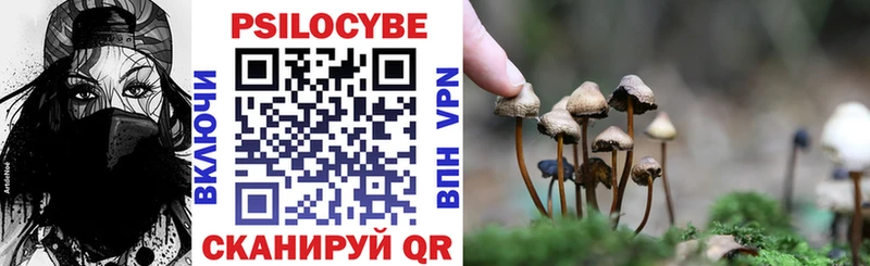 ссылка на мегу   Ленск  Псилоцибиновые грибы мухоморы 